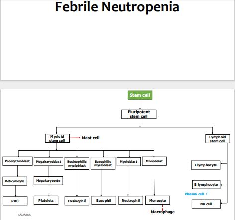 No preview available